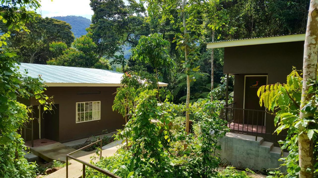 Bwindi Guest House Kanungu Екстер'єр фото