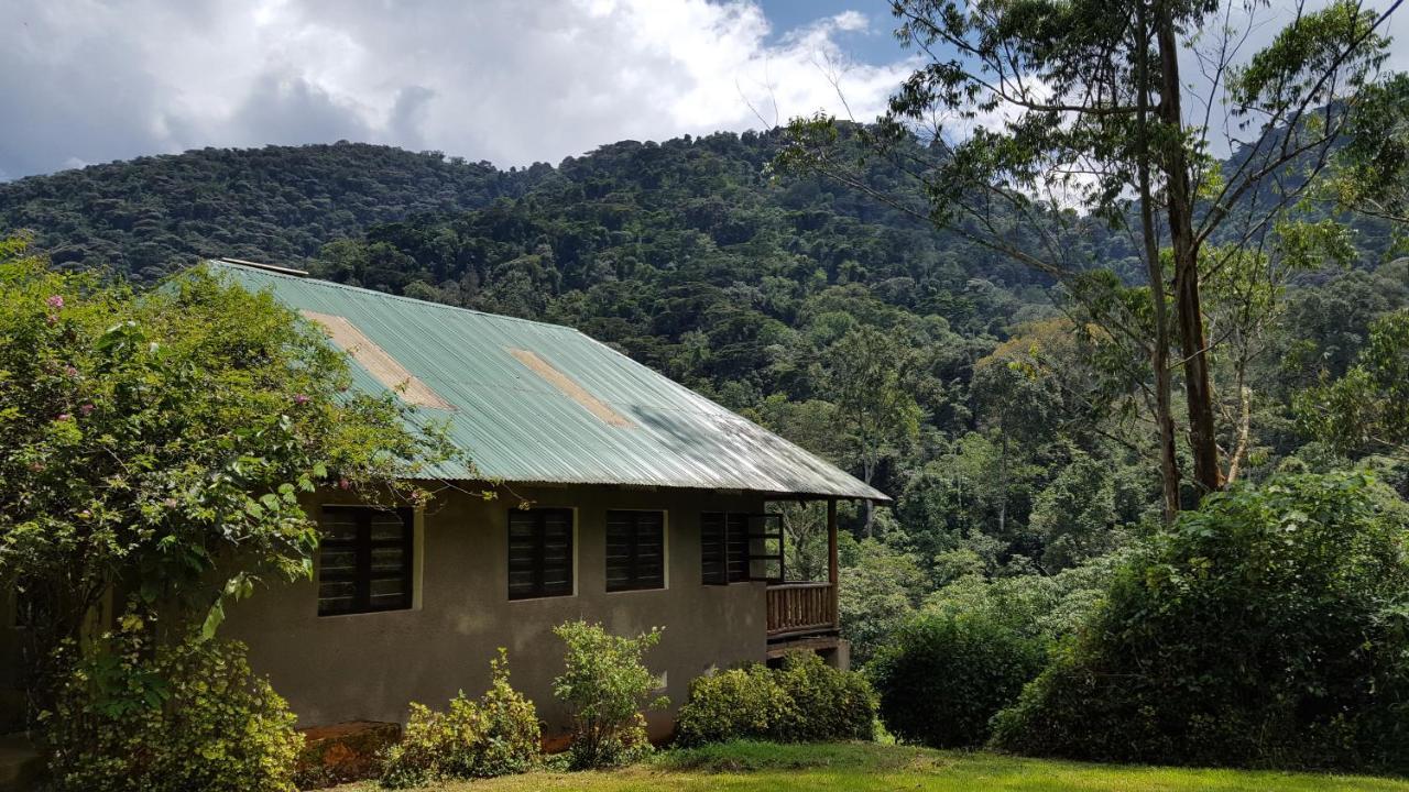 Bwindi Guest House Kanungu Екстер'єр фото